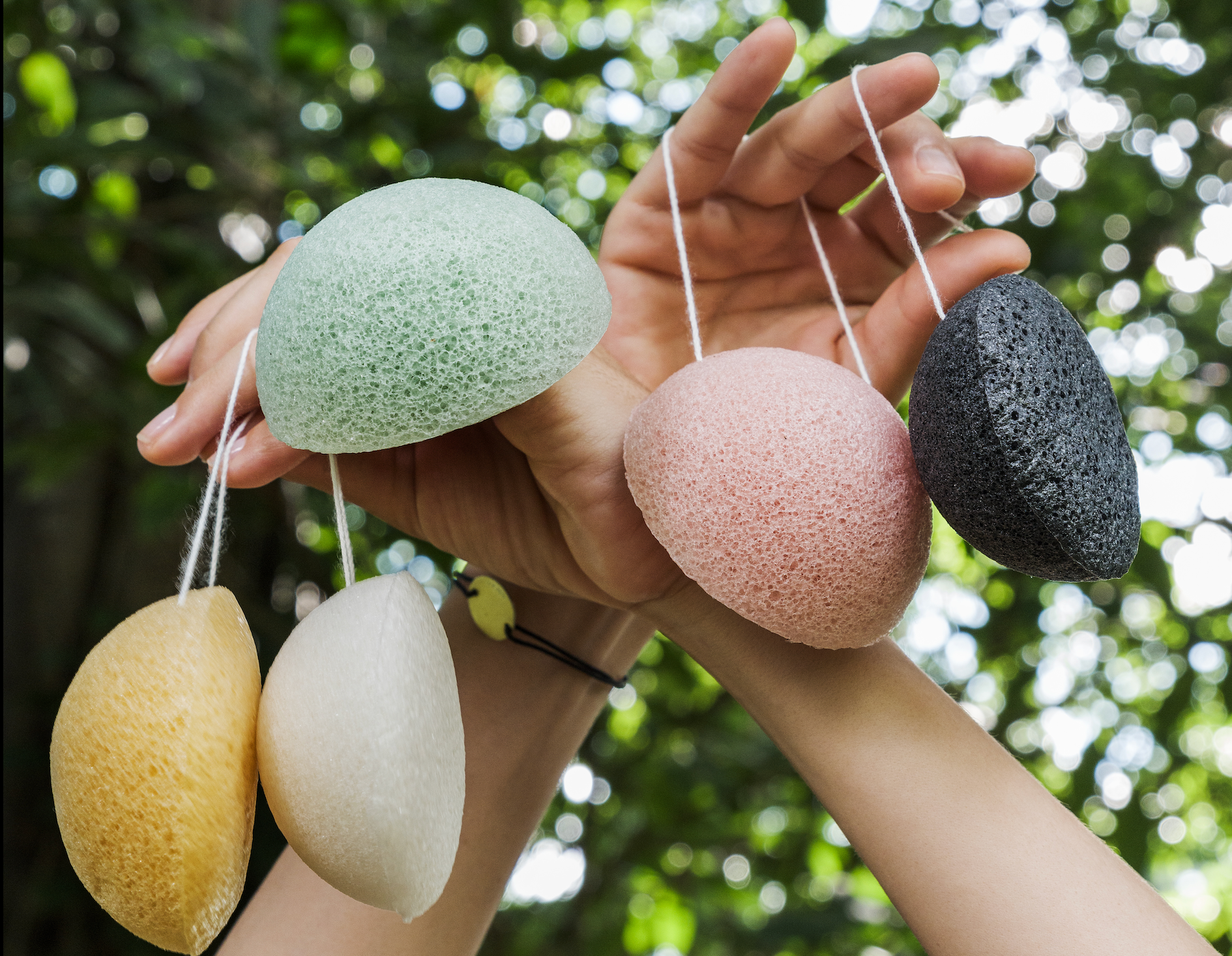 KONJAC SPONGES
