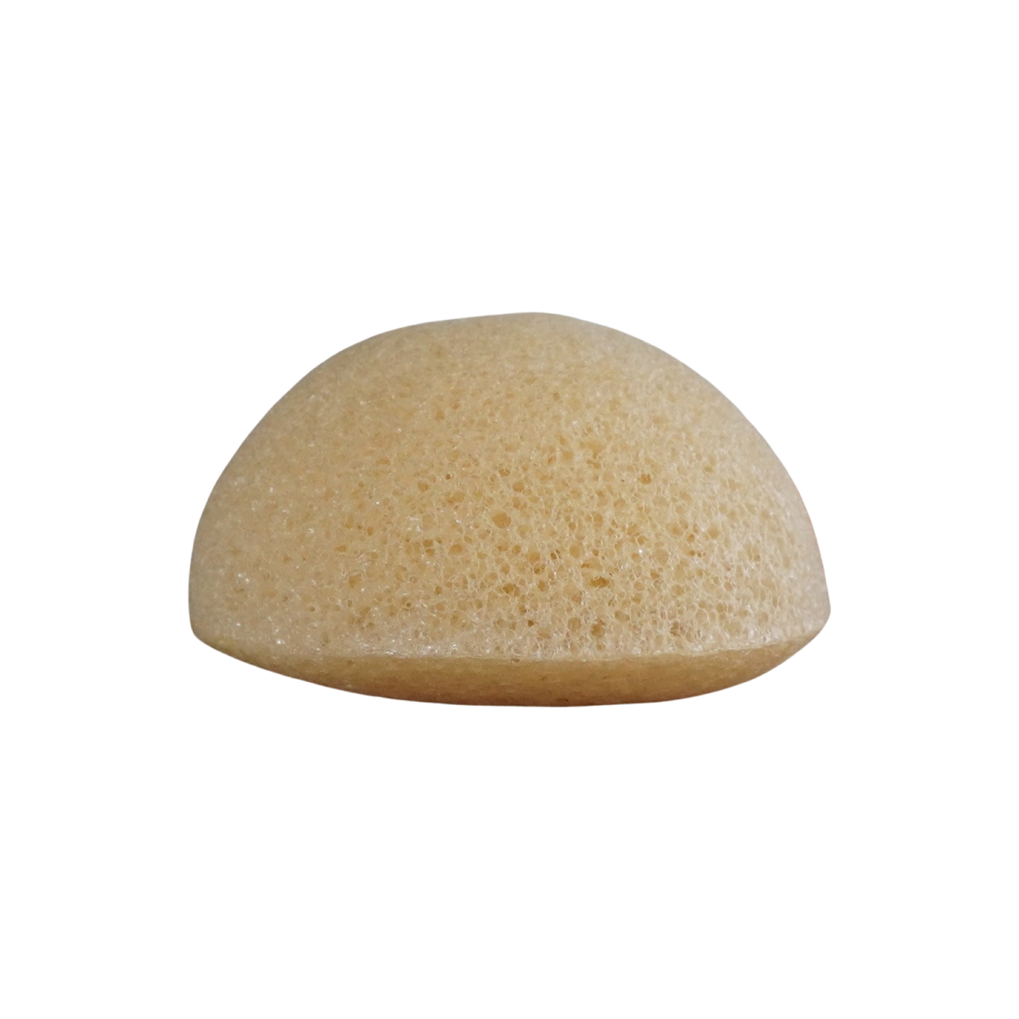 elysian konjac sponge